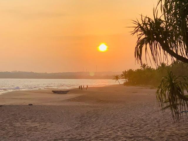 Mangrove Beach Cabana Тангалла Экстерьер фото