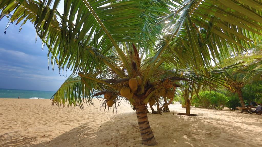 Mangrove Beach Cabana Тангалла Экстерьер фото