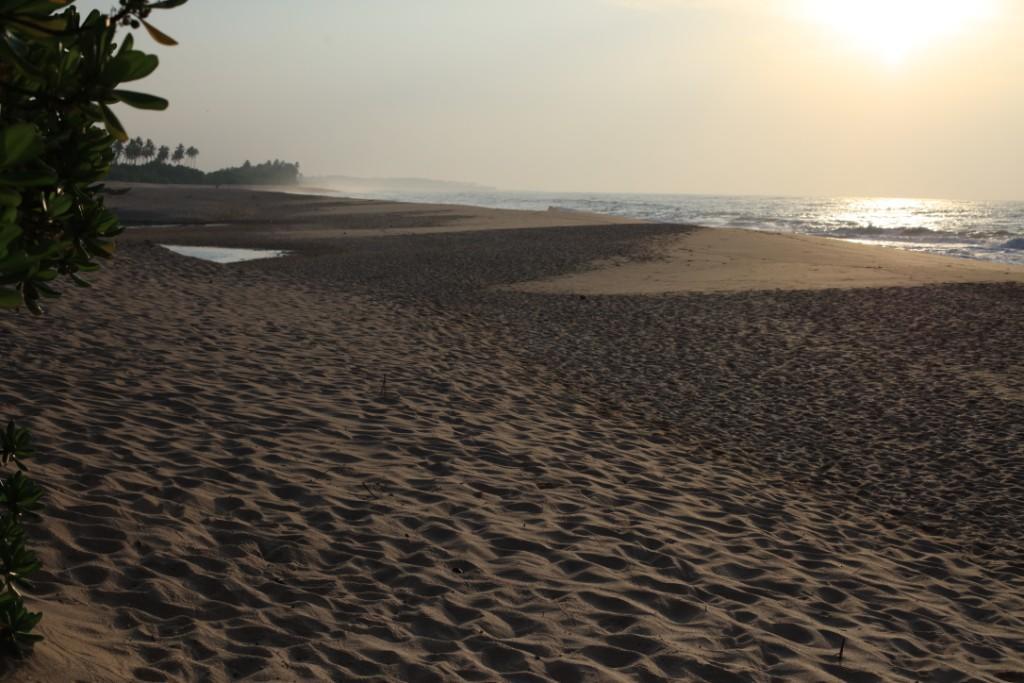 Mangrove Beach Cabana Тангалла Экстерьер фото