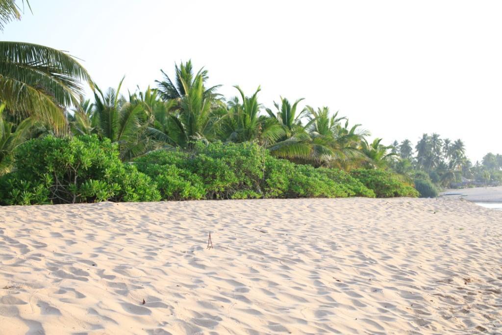 Mangrove Beach Cabana Тангалла Экстерьер фото