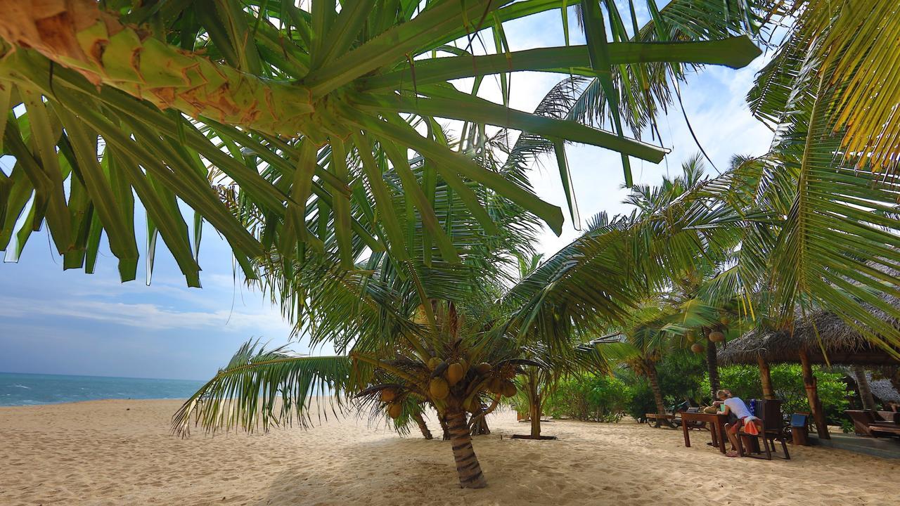 Mangrove Beach Cabana Тангалла Экстерьер фото