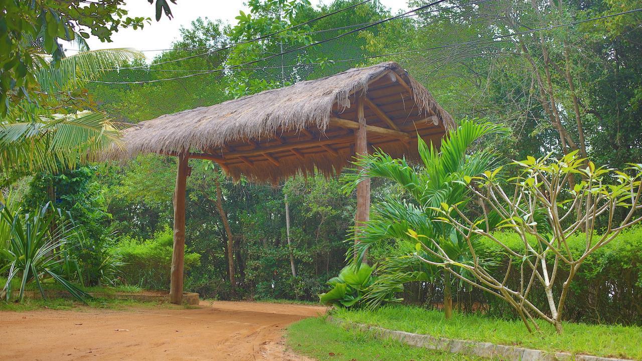 Mangrove Beach Cabana Тангалла Экстерьер фото
